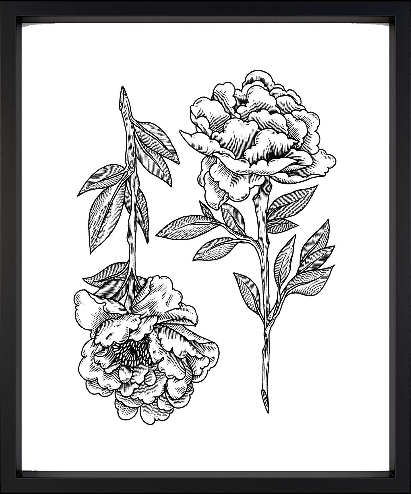Pioenrozen A4 Art Print